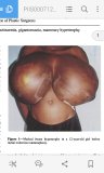 Click to view big image abelena.com_West_Africa_Screenshot_2017-06-18-15-56-43.png